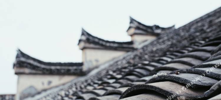 松阳巷芷民宿(松阳老城店)图片