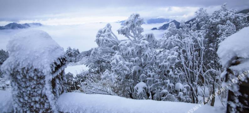 神农架德溪居酒店图片