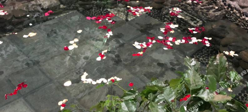 弥勒黔贵酒店(湖泉生态园店)图片