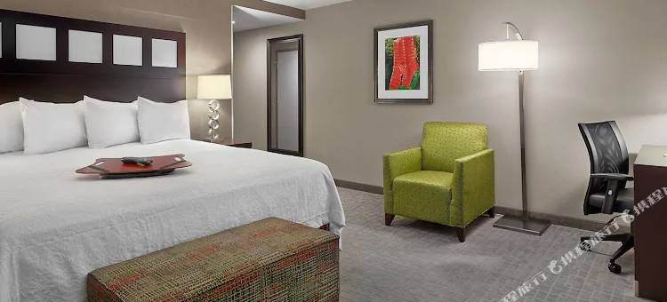 欢朋希尔顿卡尔加里机场北酒店(Hampton Inn by Hilton Calgary Airport North)图片