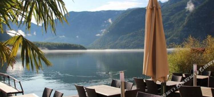 格鲁纳鲍姆酒店(Seehotel Grüner Baum)图片