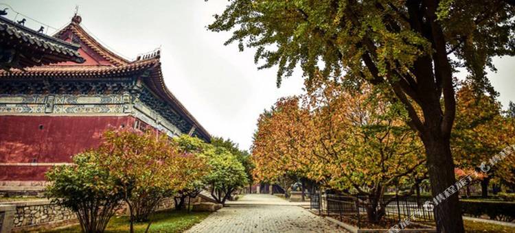 艺龙米高时尚酒店(泰山天外村登山口店)图片