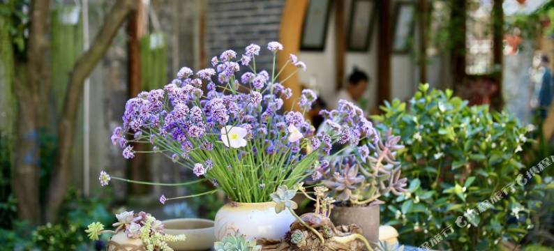 街子古镇·一念花开庭院度假民宿(古镇景区店)图片