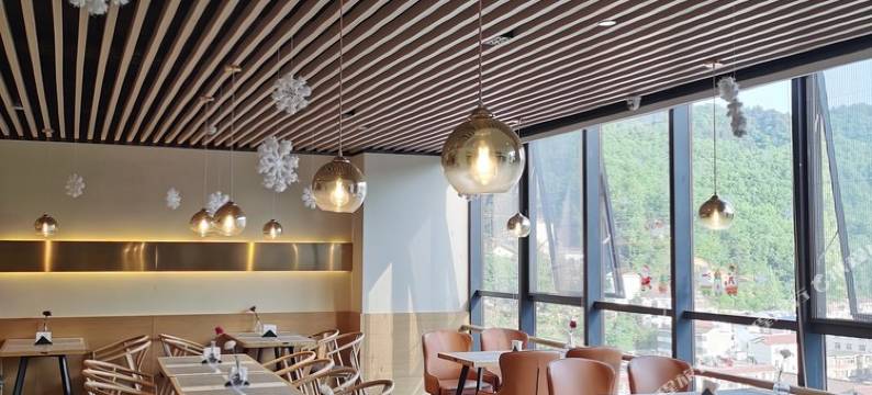 柞水东信国际酒店图片