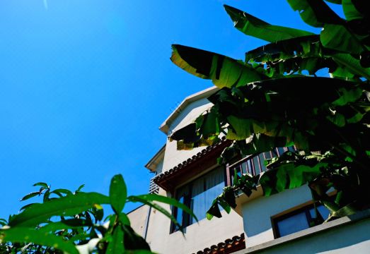 桐庐梅蓉漠画·玖禾民宿外景图