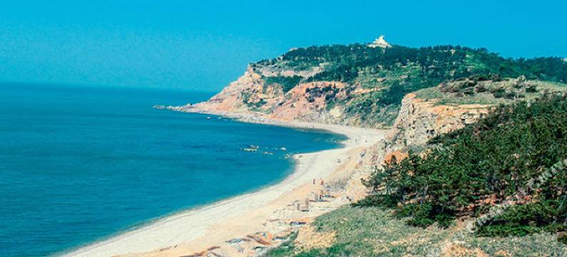 长岛小林自助公寓图片