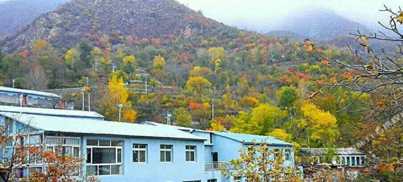 北京老隗农家院图片