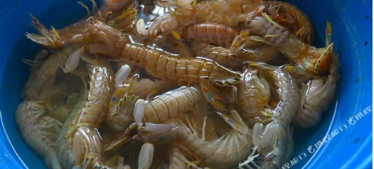 乐亭18号农家院图片