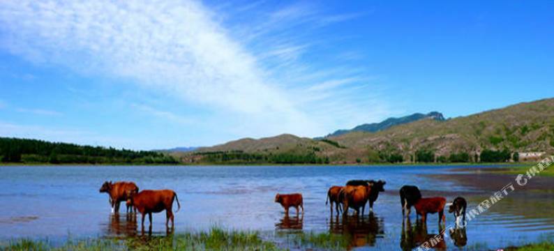 宁武芦芽山客栈图片