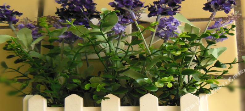 丹霞山君御公馆图片