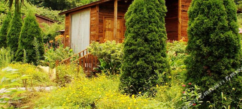 庐山海龙山庄图片