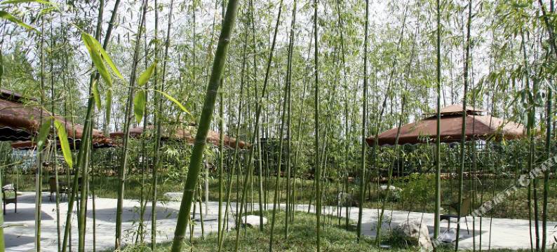 周至水街·爱在路上文化主题酒店图片