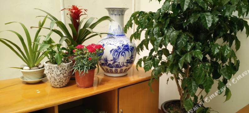 长岛静静渔家图片