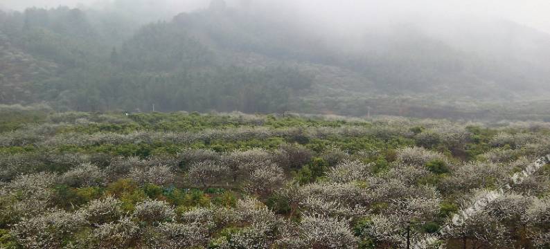 广州从化良口溪景民宿图片