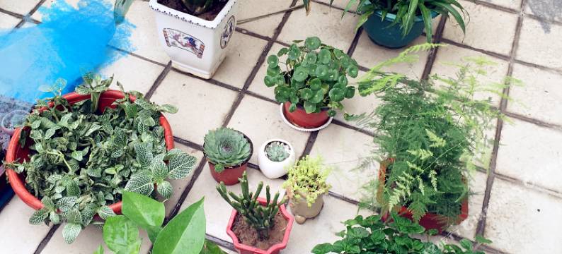 聊城东昌府青年旅舍图片