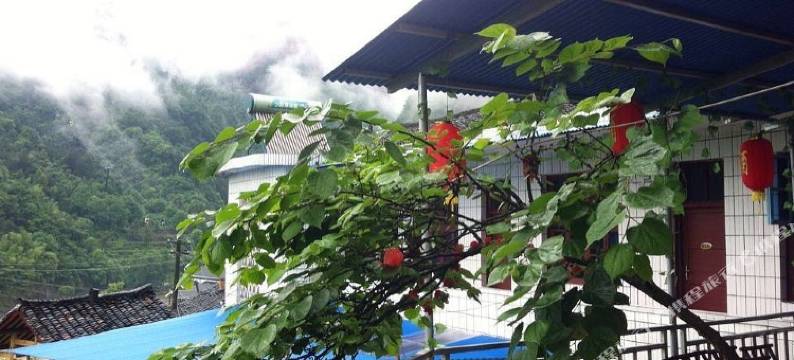 张家界印氏农家乐客栈图片