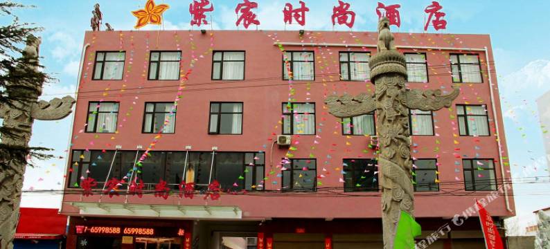 紫宸时尚酒店(镇平建设大道店)图片