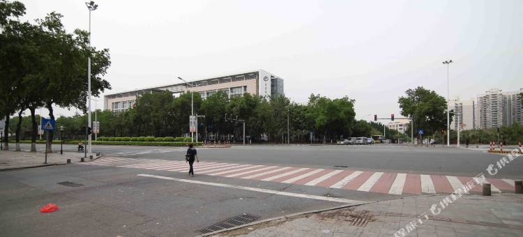 东莞铂威酒店(南城蜂汇广场店)图片