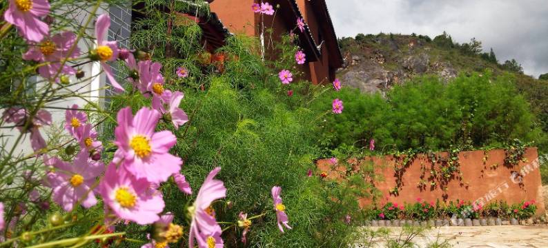 丽江后来客栈图片