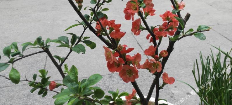 汇利达宾馆(信阳火车站店)图片