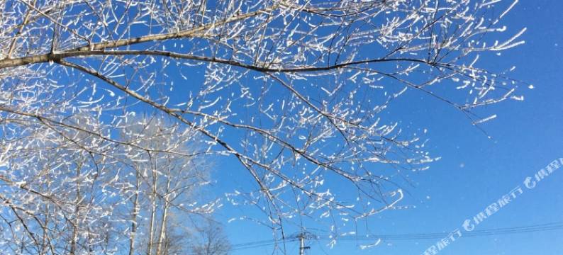 长白山舒馨旅馆图片