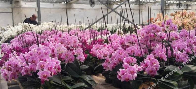 北京益泉花园酒店图片