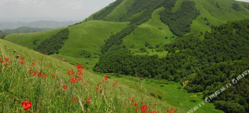 张北在路上农庄图片