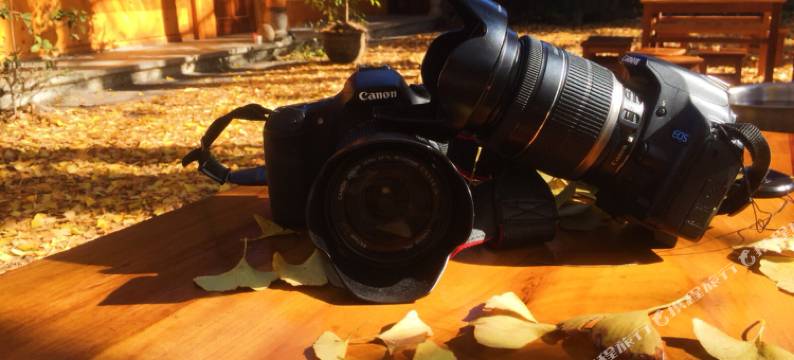 腾冲秋蝶园客栈图片