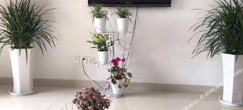 上海乐迪精品民宿图片