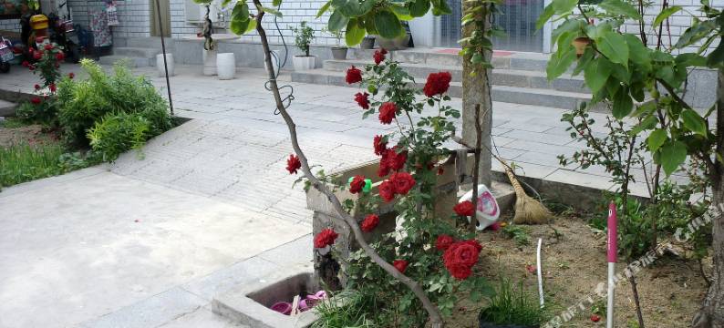 天津东升农家院图片