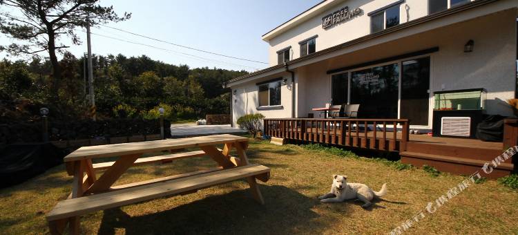济州岛自由下榻宾馆(Freefalling Guesthouse Jeju)图片