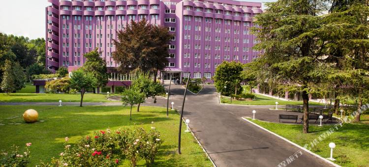 米兰罗扎诺区达芬奇酒店(Hotel Da Vinci)图片