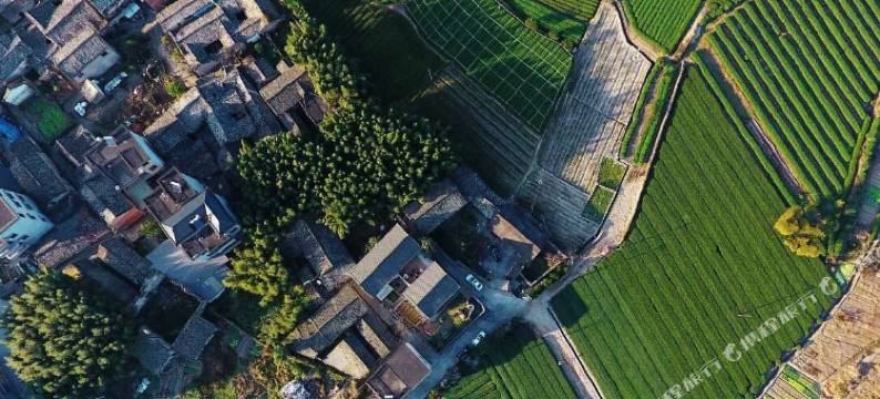 松阳草木堂隐泉松阳民宿图片