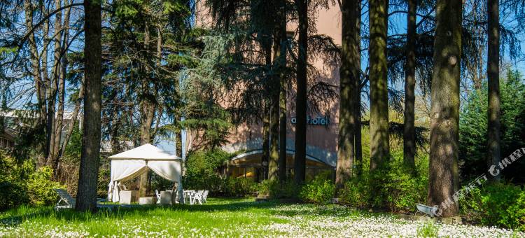 利纳特艾尔贝斯特韦斯特酒店(Best Western Air Hotel Linate)图片