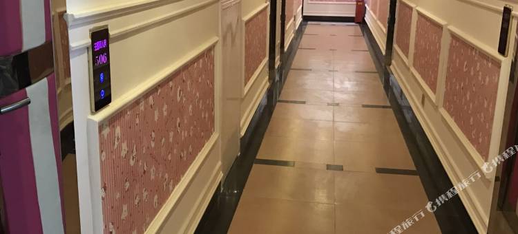 安福新普乐兹大酒店图片