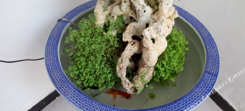 秦皇岛山海关火车站温馨大房普通公寓图片