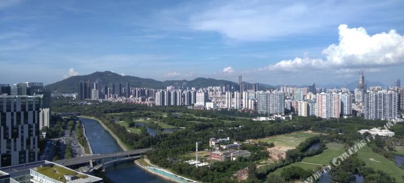 常春藤服务公寓(深圳湾店)图片