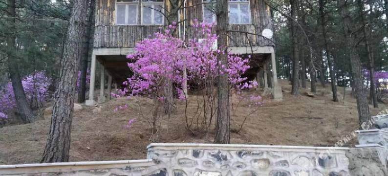 兴隆六里坪国家森林公园森林木屋图片