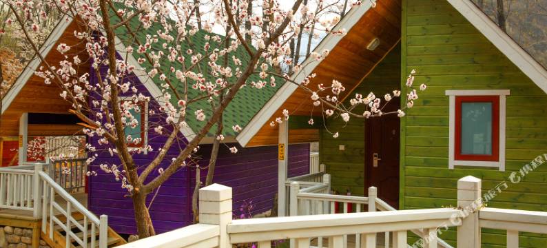 北京神堂峪七彩木屋图片