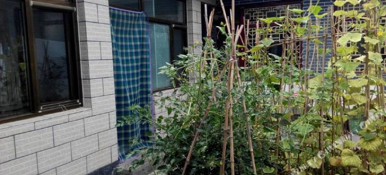 北京雪豆园农家乐图片