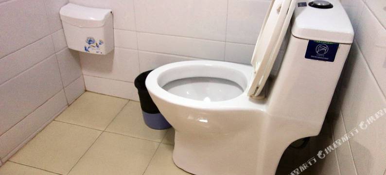 乌镇弄堂小院民宿图片