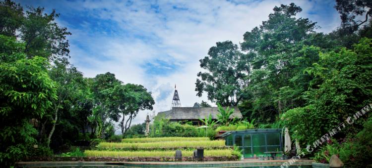 西盟秘境佤寨稻田庄园图片