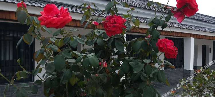 盱眙高老庄生态园民宿图片