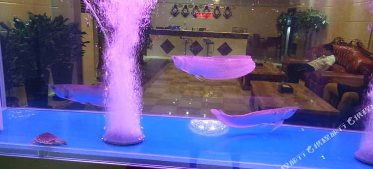 99优选酒店(安国药兴大路店)图片