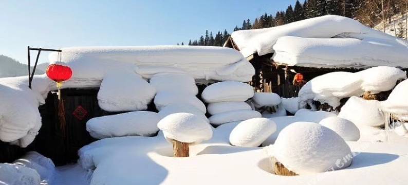 雪谷映山红客栈图片
