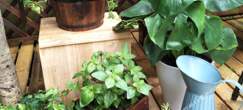 南京G.R谷雨民宿图片