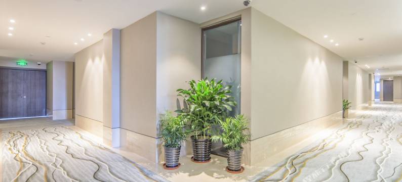 睿柏·云酒店(上海崇明城桥店)图片