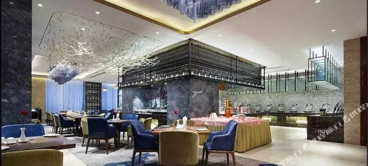 郑州东站泰宏文森特国际酒店图片