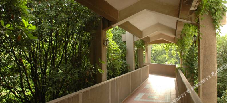 三门峡大鹏酒店(天鹅湖店)图片