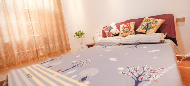 开封蚂蚁窝窝普通公寓图片